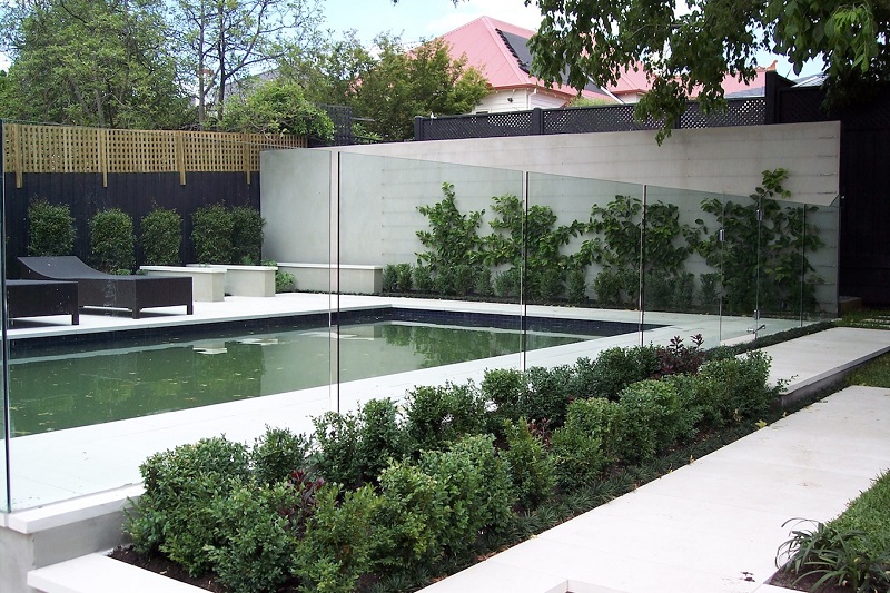 Pool with water green in color and glass fence